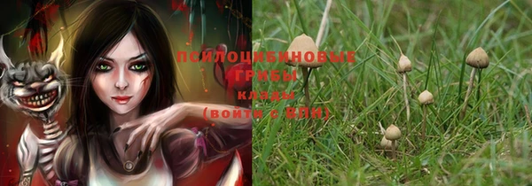 a pvp Покров