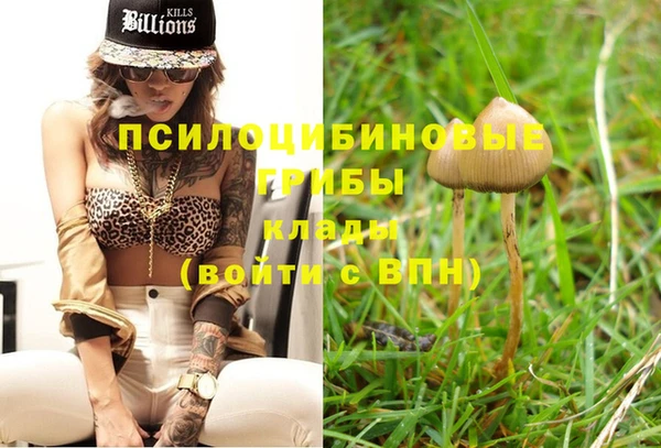 a pvp Покров