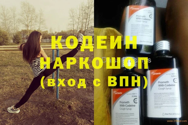 индика Покачи